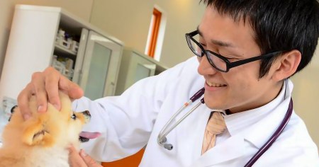 blog_veterinary_main_img