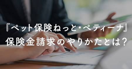 peteena_insurance_claim_main_img