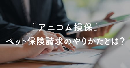 anicom_insurance_claim_main