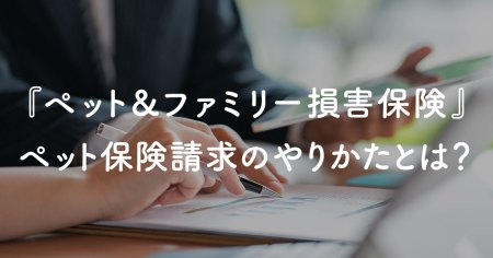 blog_insurance_claim_main4