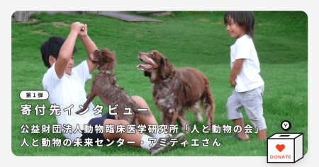blog_main_interview_haac