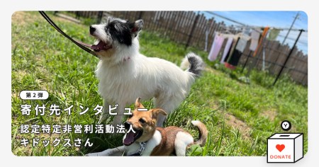 blog_main_interview_kidogs